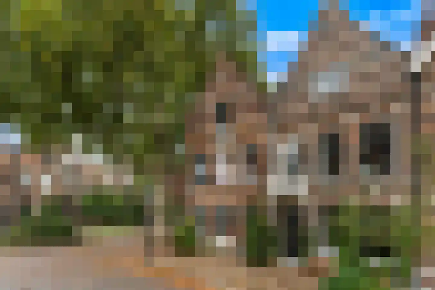 Rozenhof 2 Dordrecht thumbnail 10