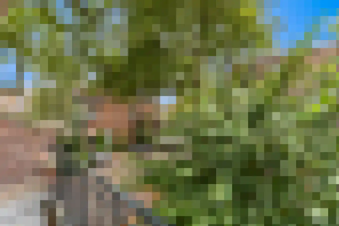 Rozenhof 2 Dordrecht thumbnail 27