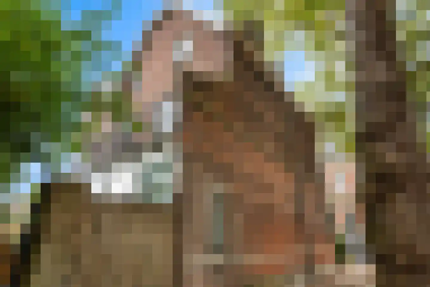 Rozenhof 2 Dordrecht thumbnail 40