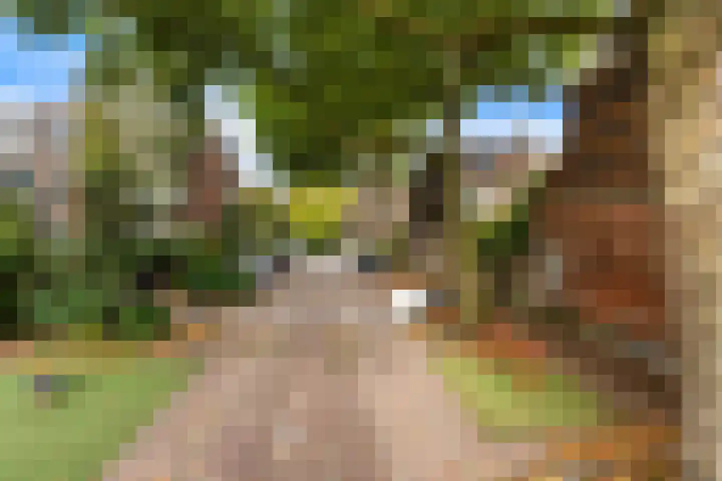Rozenhof 2 Dordrecht thumbnail 41