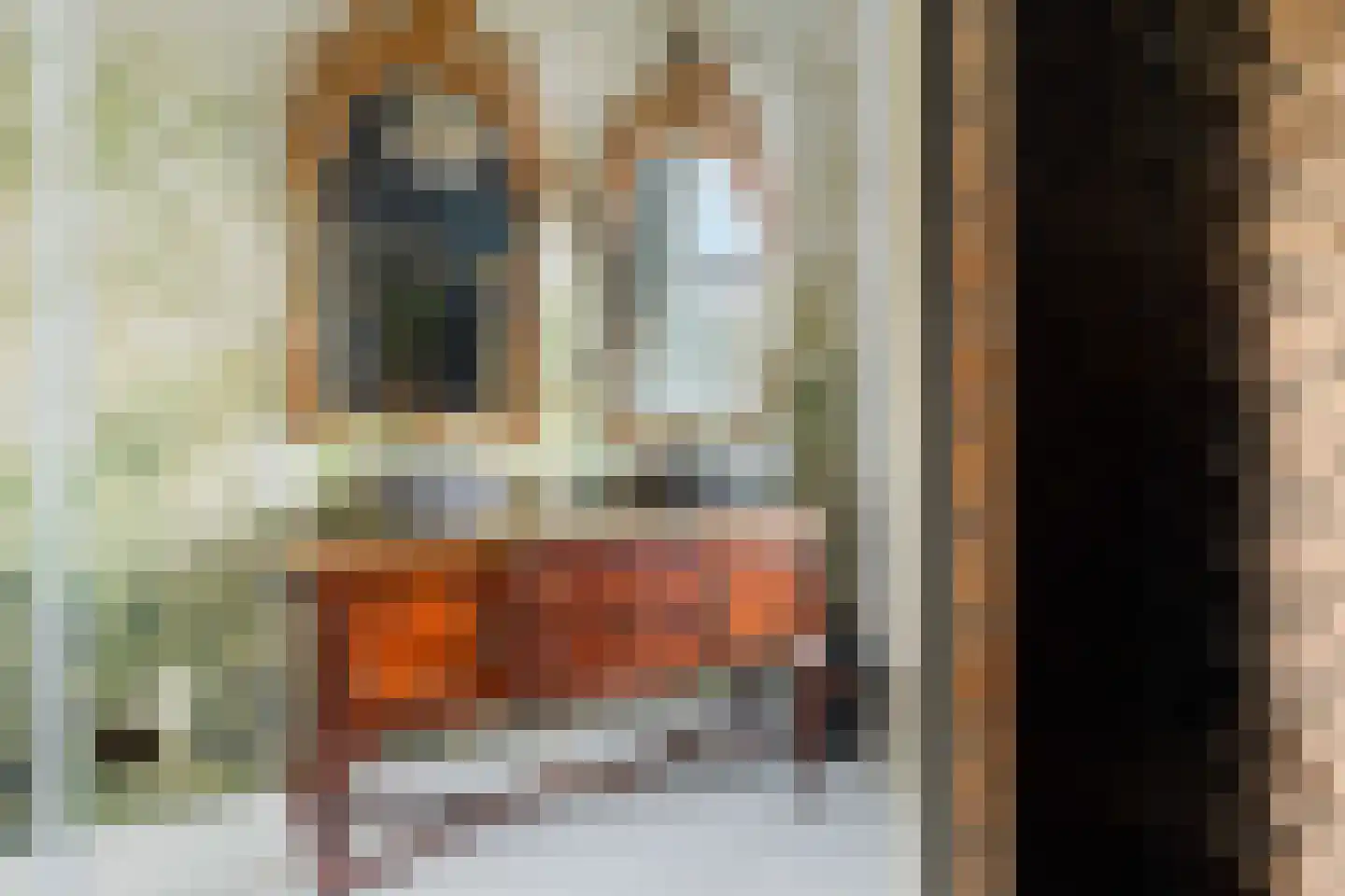 Rozenhof 2 Dordrecht thumbnail 6