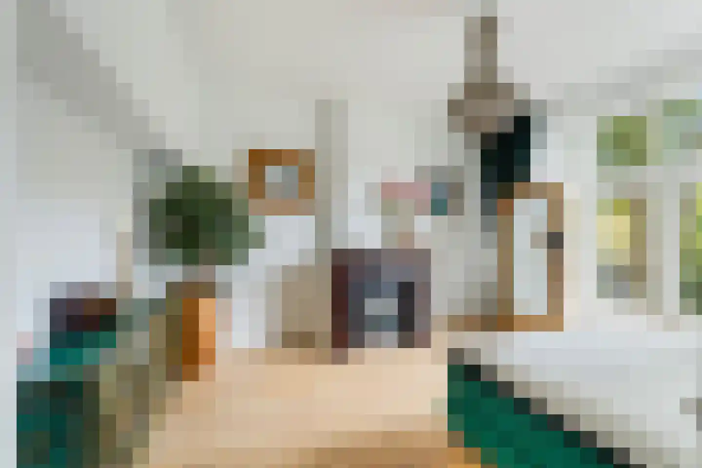 Rozenhof 2 Dordrecht thumbnail 7