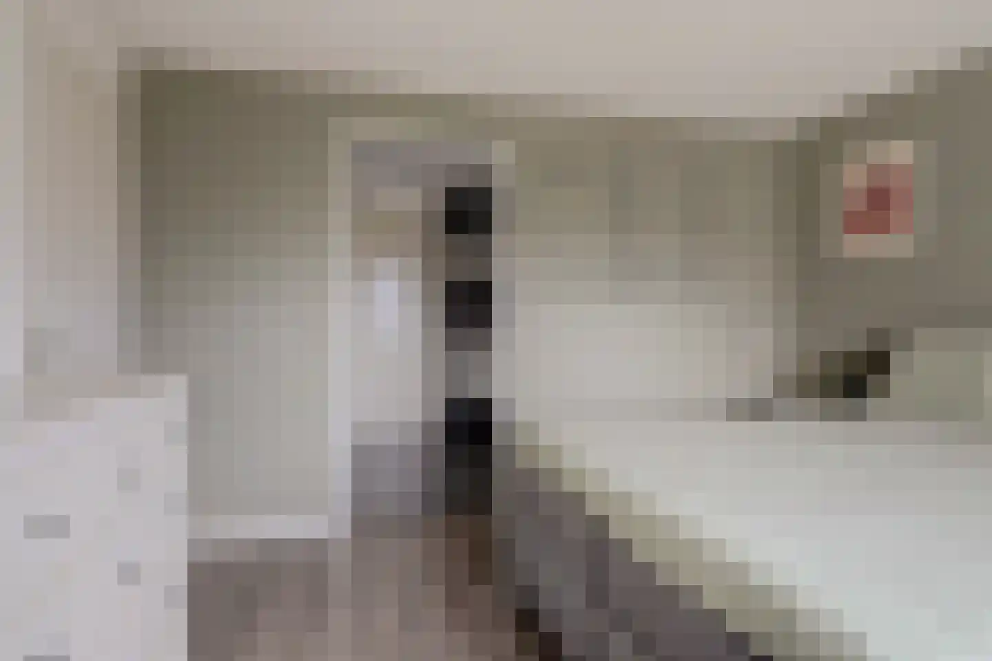 Rozenhof 3 Katwijk thumbnail 37