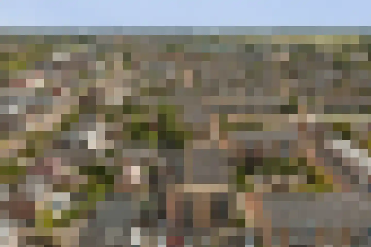 Rozenhof 3 Katwijk thumbnail 49
