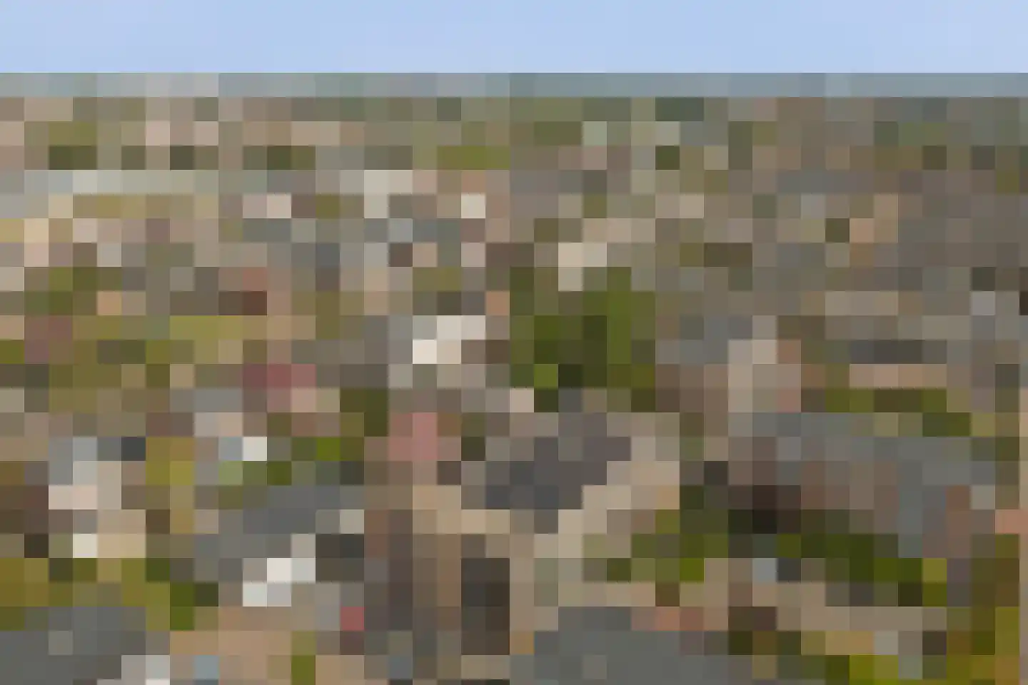 Rozenhof 3 Katwijk thumbnail 50