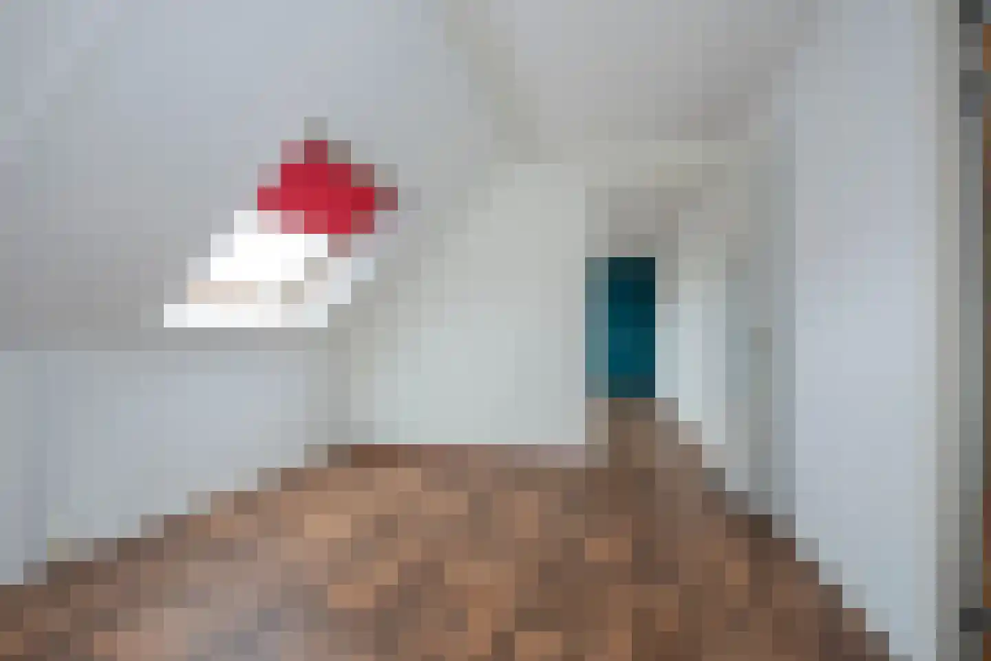 Rozenhof 32 Borne thumbnail 20