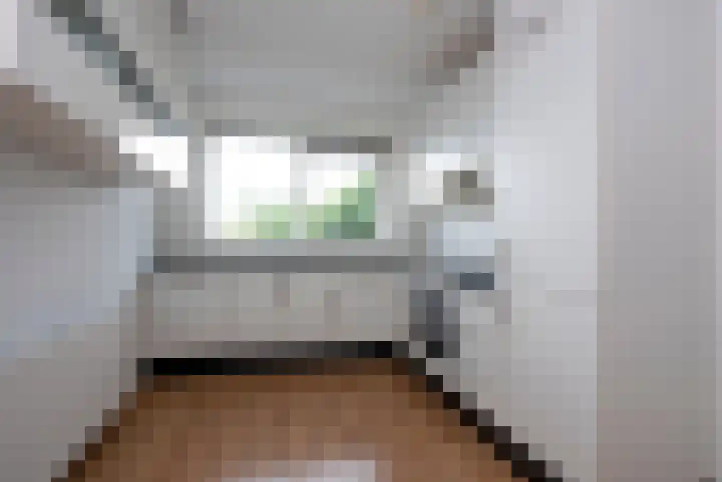 Rozenhof 32 Borne thumbnail 9