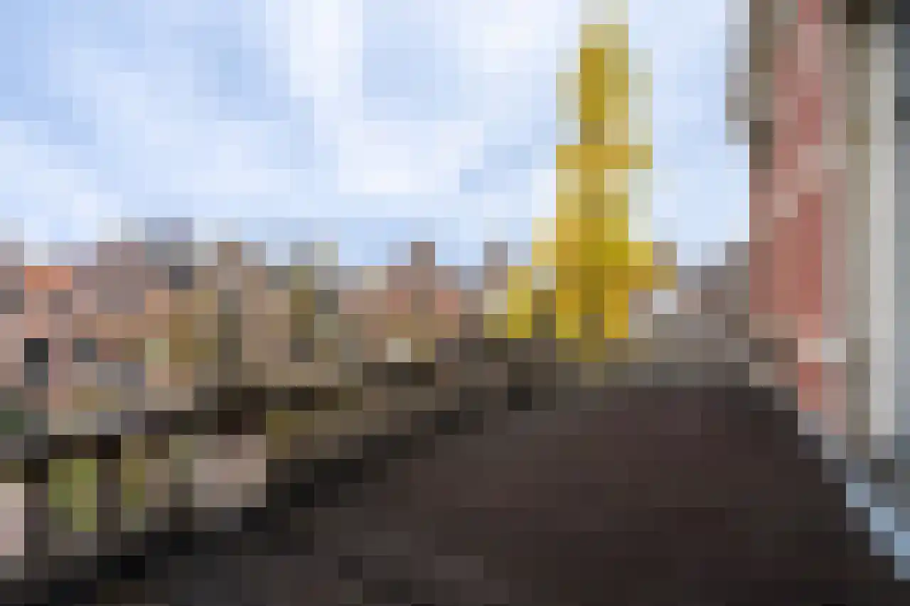 Rozenhof 33 Dordrecht thumbnail 36