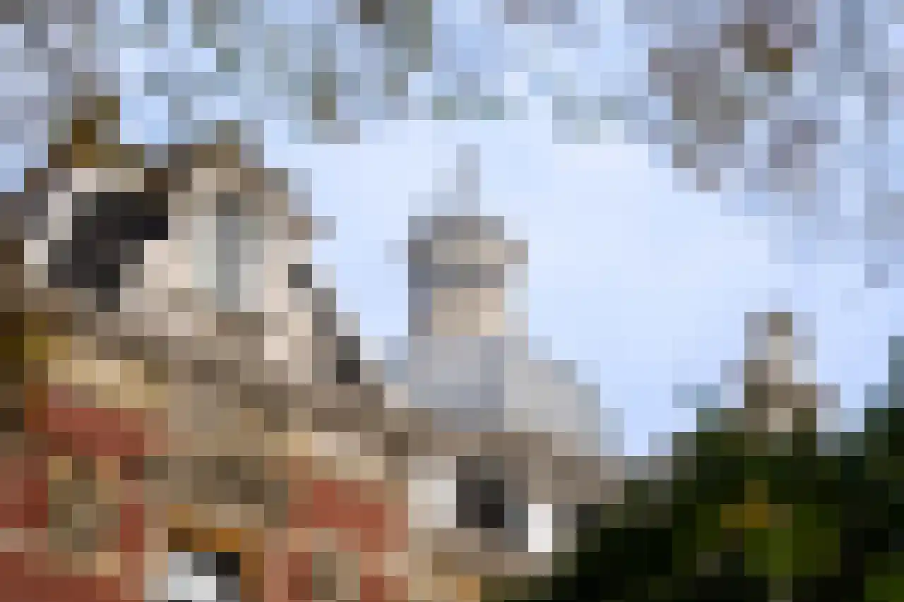 Rozenhof 33 Dordrecht thumbnail 5