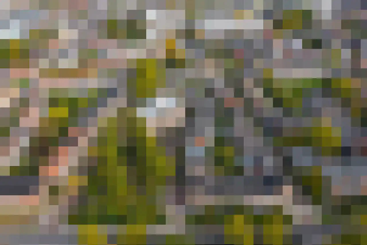 Rozenhof 33 Dordrecht thumbnail 58