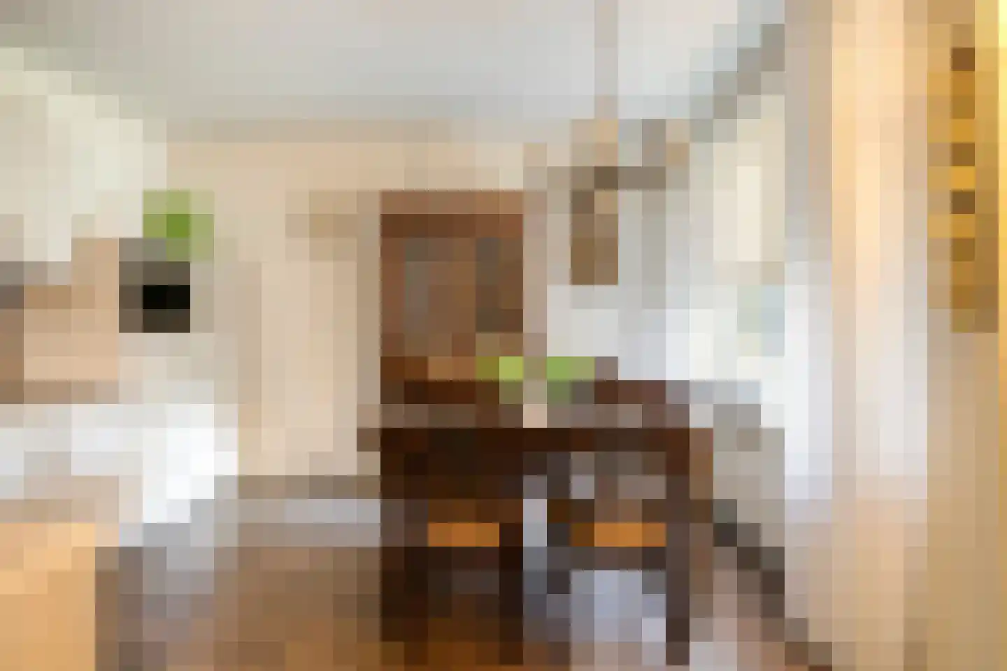 Rozenhof 34 Epe thumbnail 10