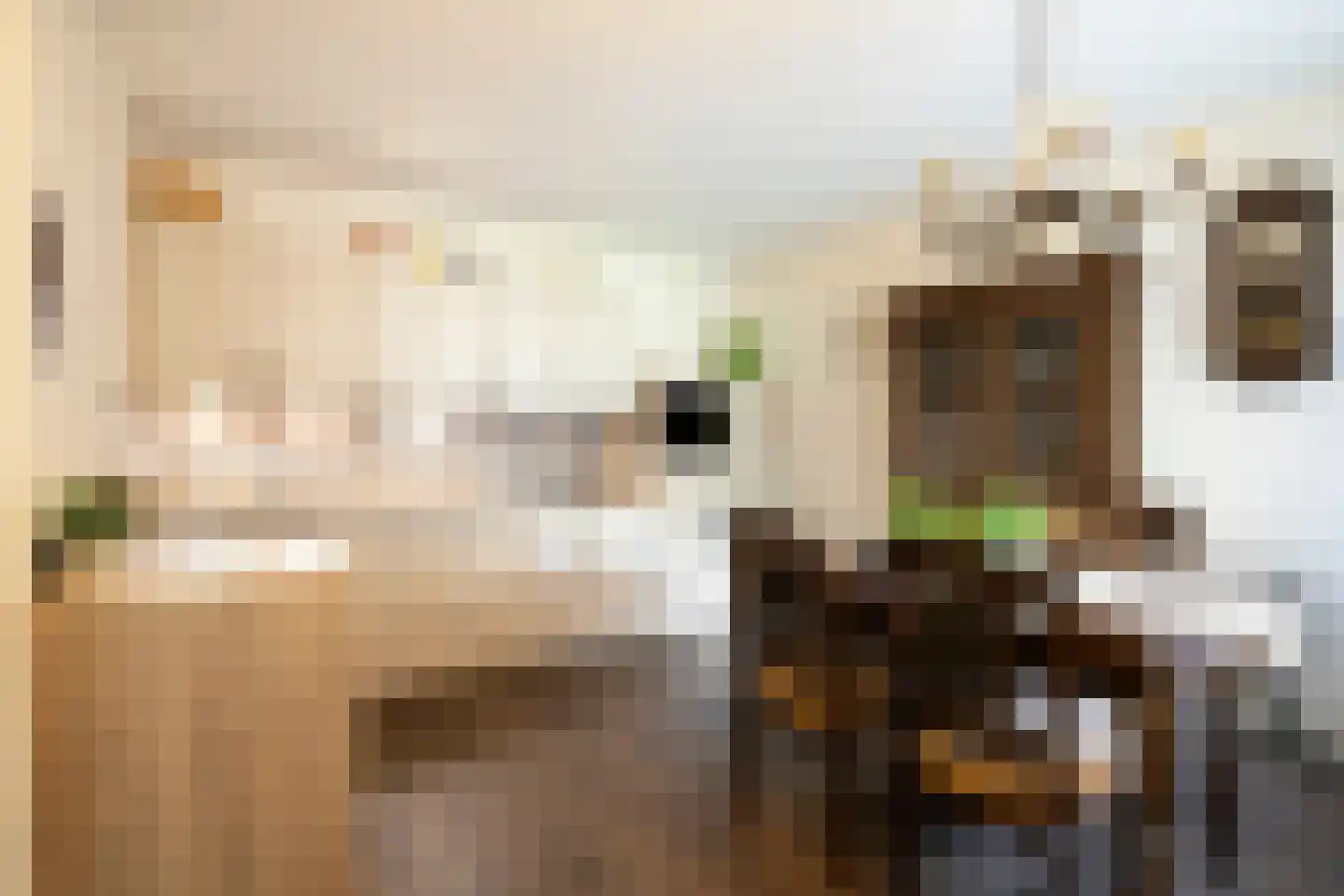 Rozenhof 34 Epe thumbnail 11