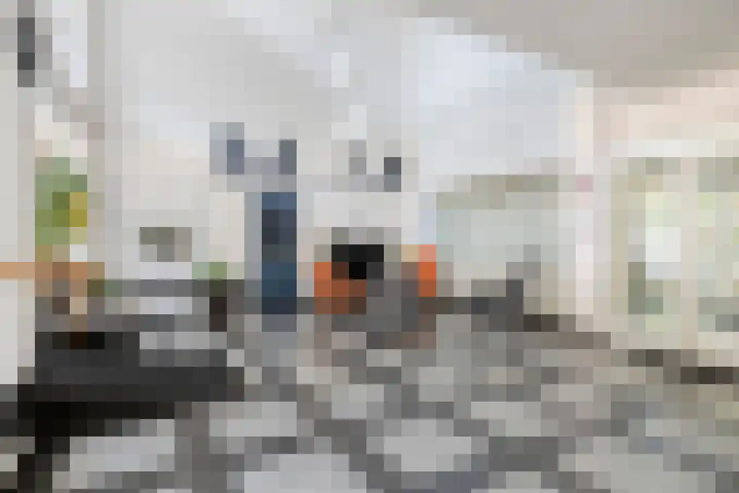 Rozenhof 34 Epe thumbnail 25