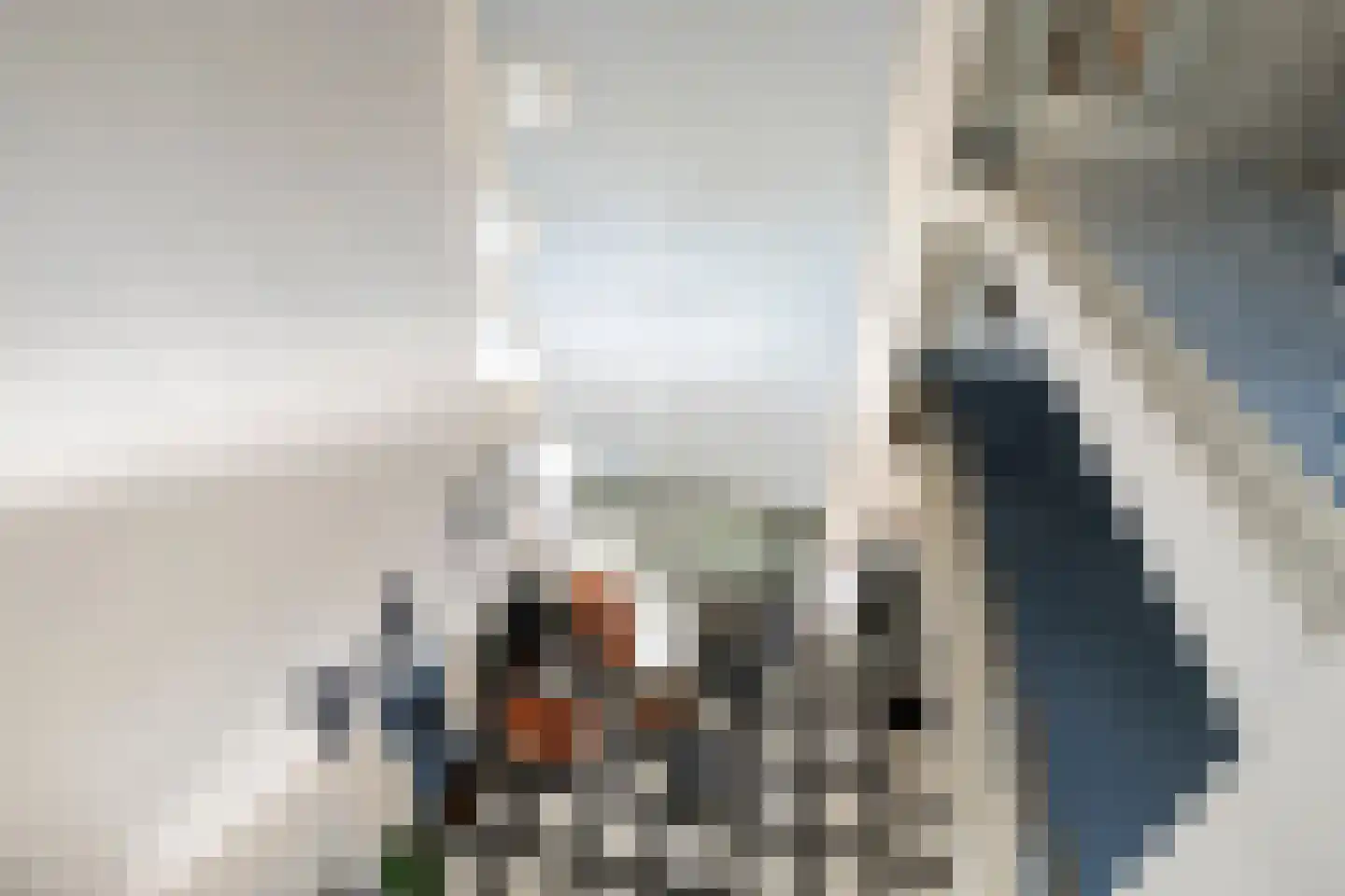 Rozenhof 34 Epe thumbnail 27