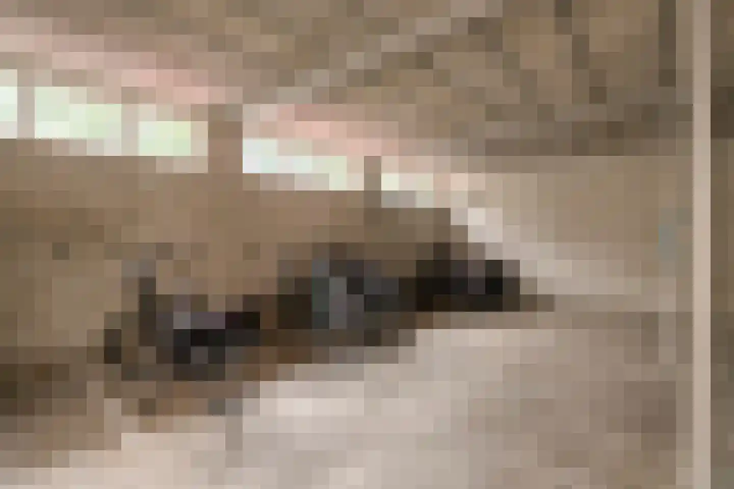 Rozenhof 34 Epe thumbnail 29
