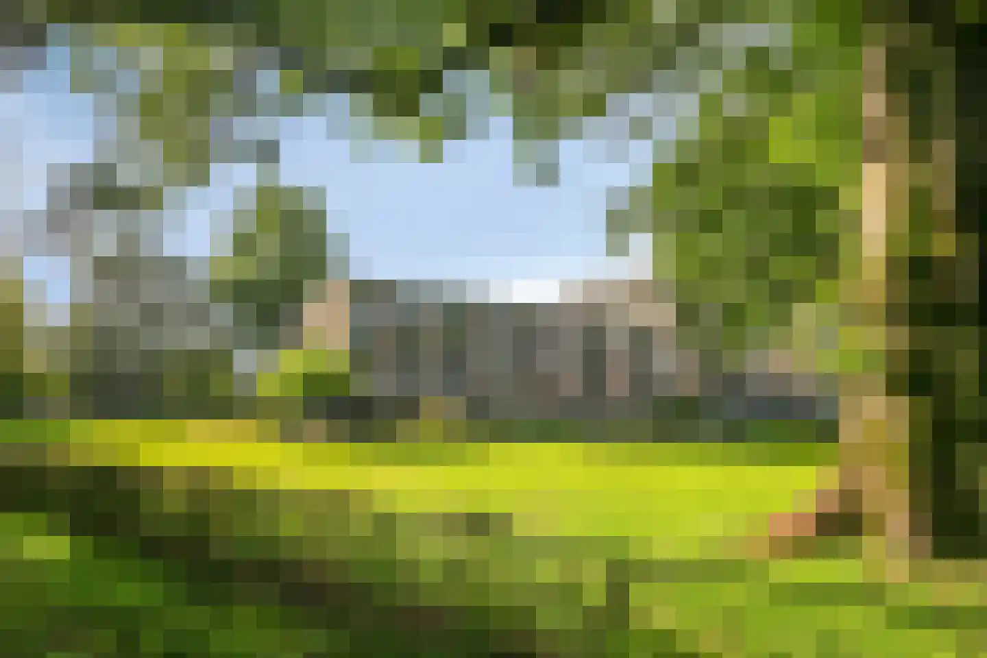 Rozenhof 34 Epe thumbnail 31