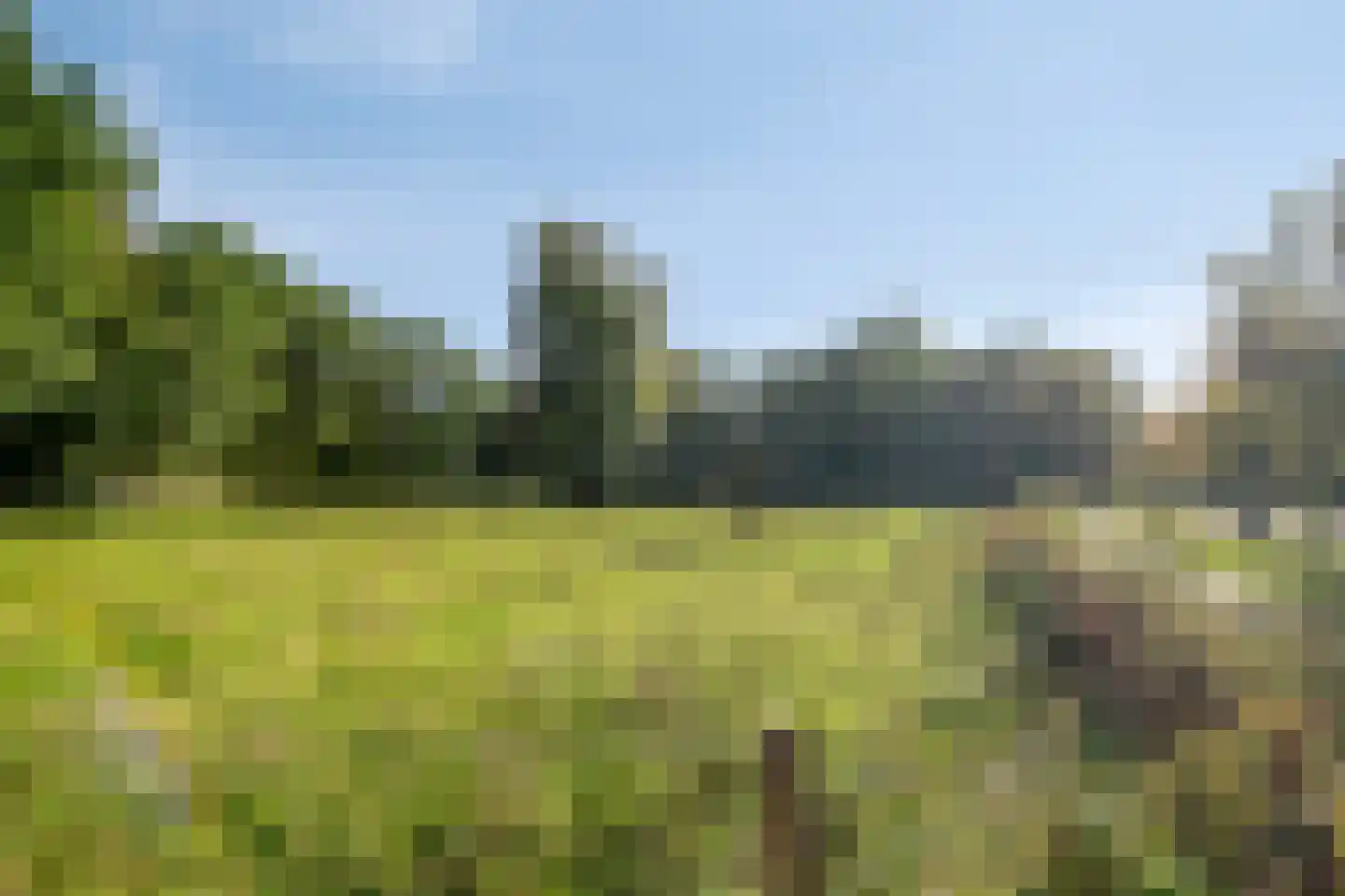 Rozenhof 34 Epe thumbnail 34