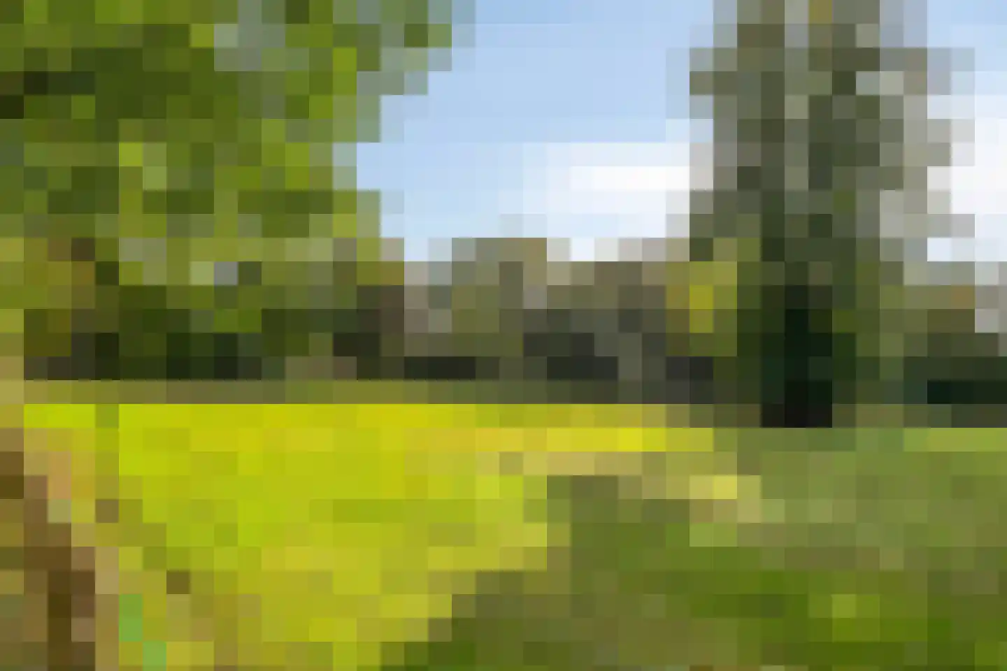 Rozenhof 34 Epe thumbnail 36