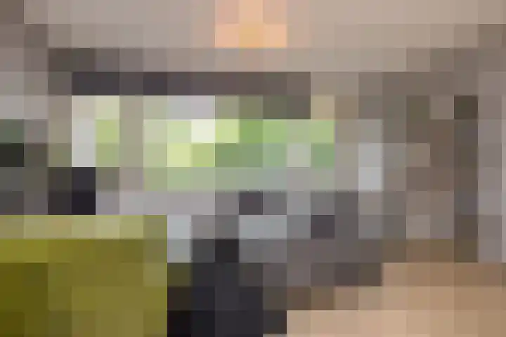 Rozenhof 39 Brunssum thumbnail 4