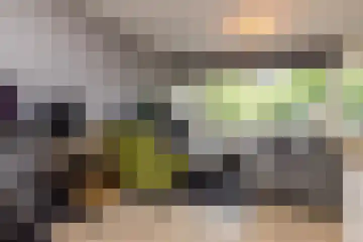 Rozenhof 39 Brunssum thumbnail 5