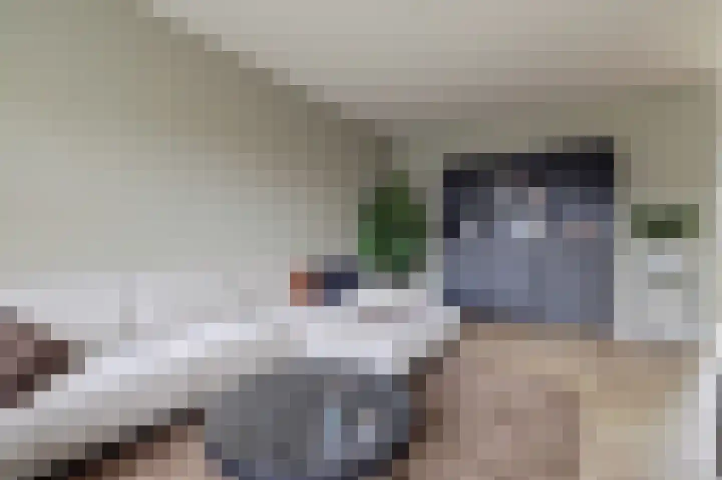 Rozenhof 4 Haps thumbnail 10
