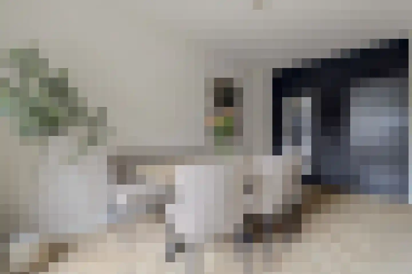 Rozenhof 4 Haps thumbnail 13