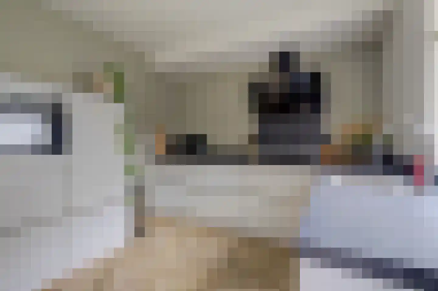Rozenhof 4 Haps thumbnail 16