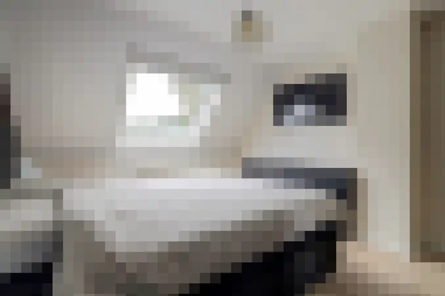 Rozenhof 4 Haps thumbnail 22