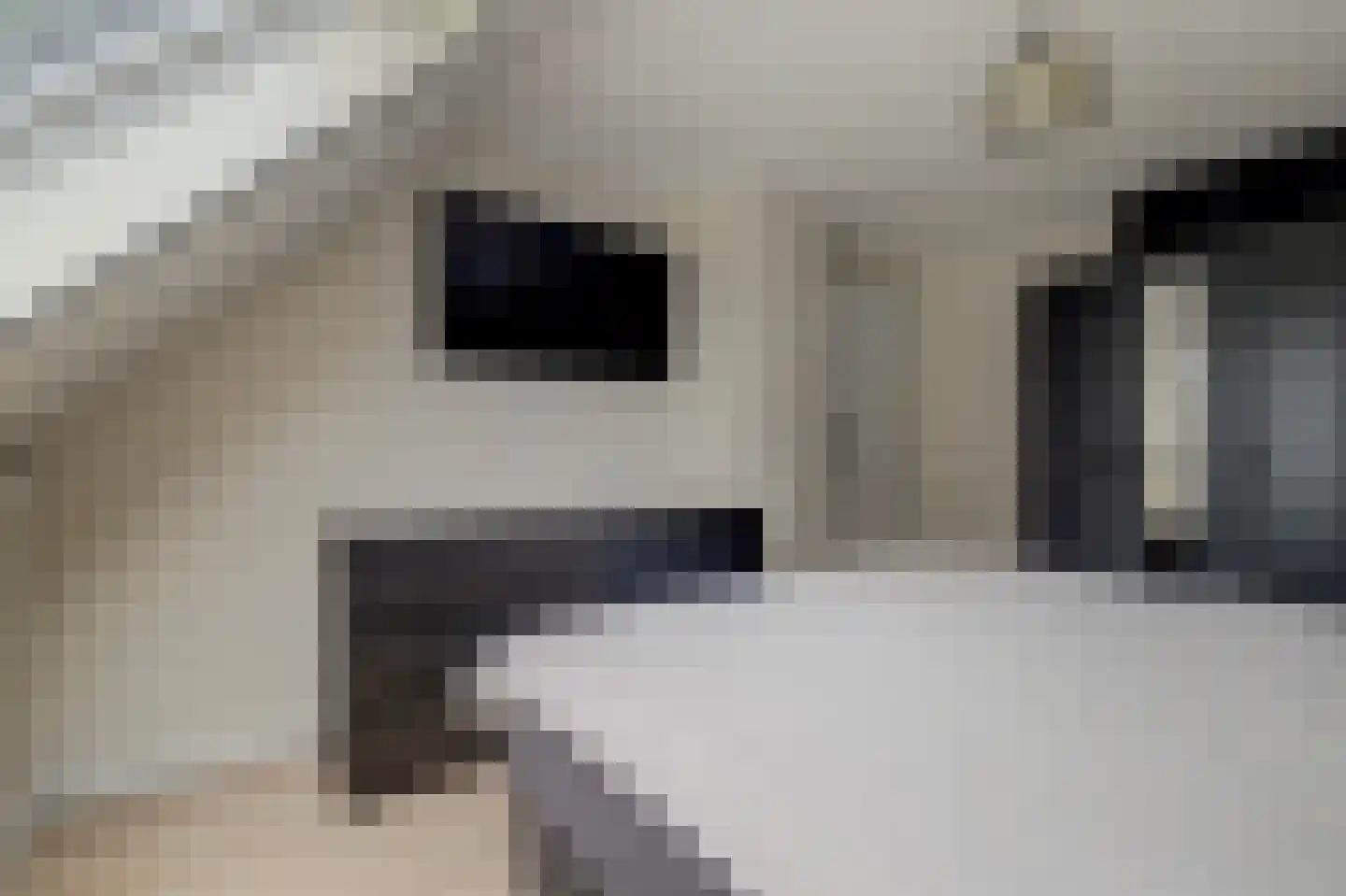 Rozenhof 4 Haps thumbnail 23