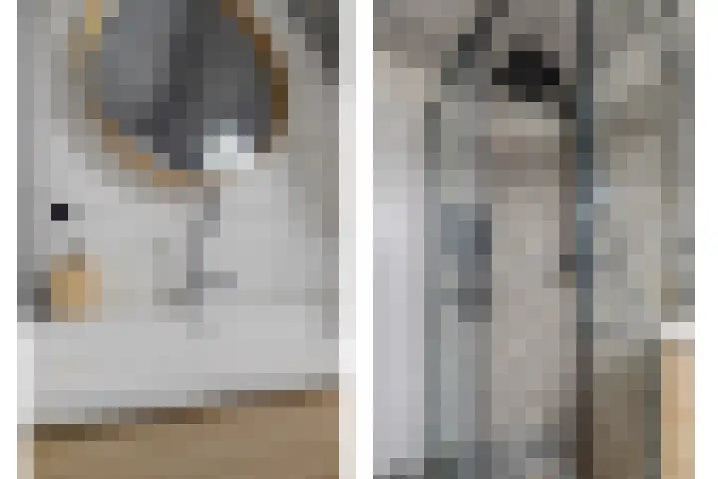 Rozenhof 4 Haps thumbnail 30