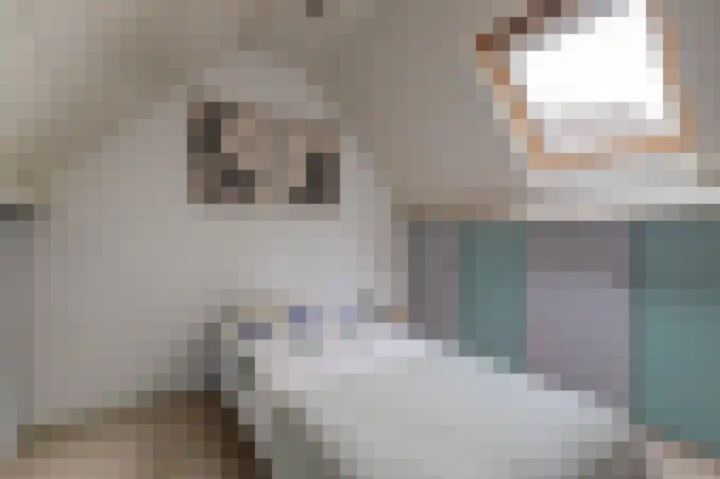 Rozenhof 4 Haps thumbnail 34