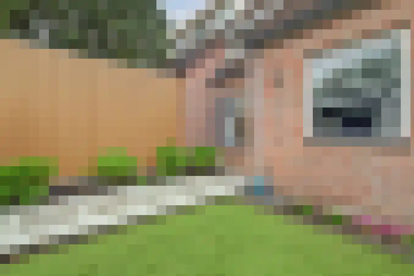 Rozenhof 4 Haps thumbnail 39