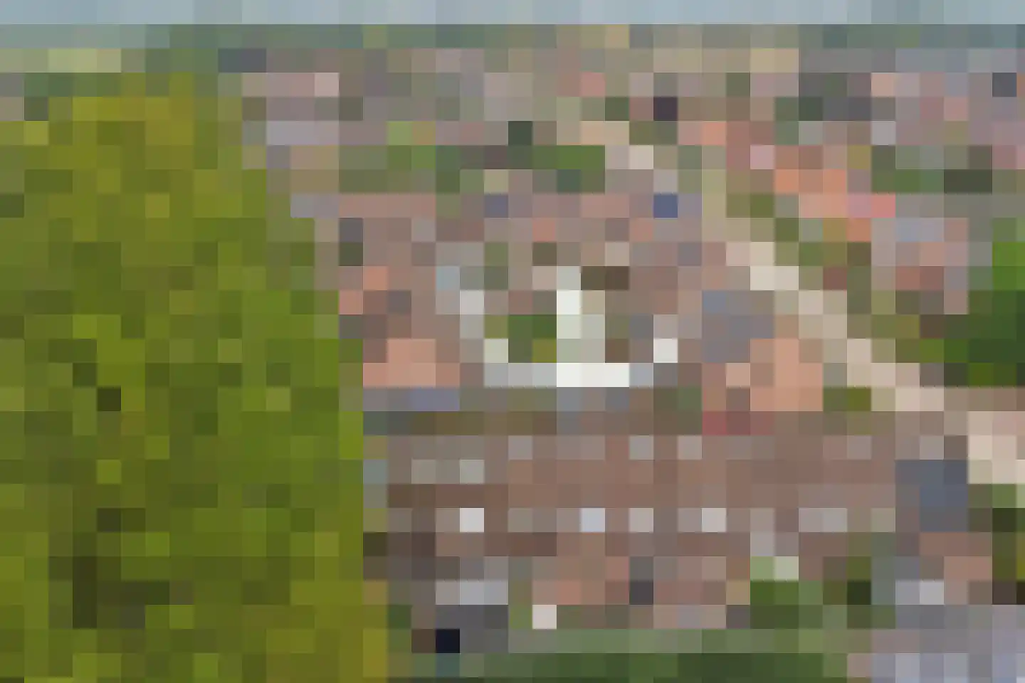 Rozenhof 4 Haps thumbnail 53
