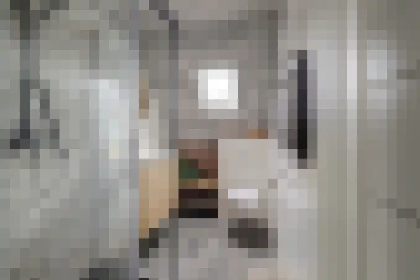 Rozenhof 4 Haps thumbnail 6