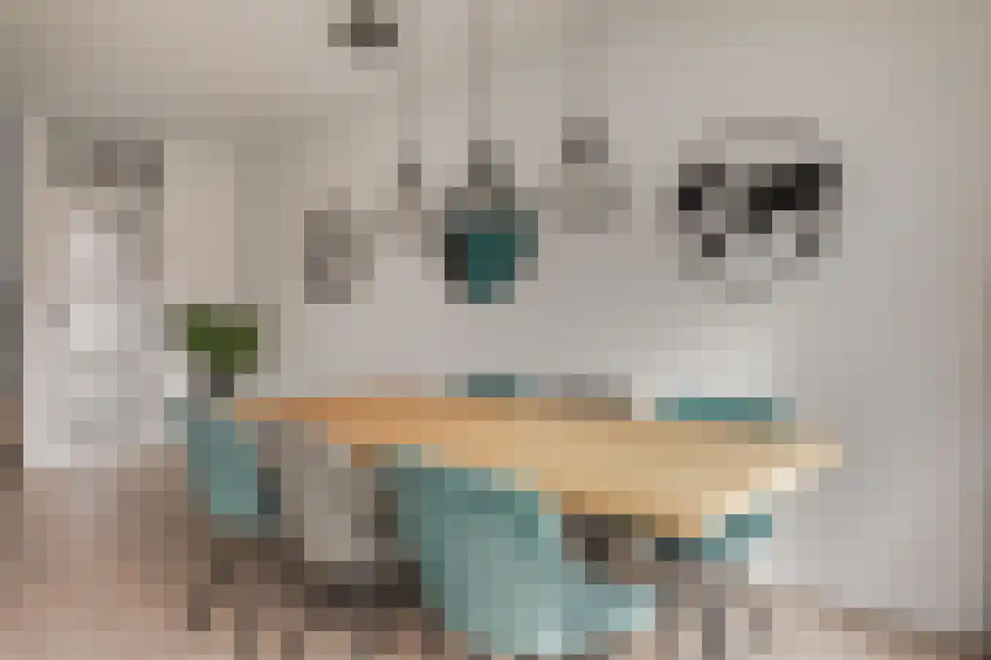 Rozenhof 4 Zwaag thumbnail 16