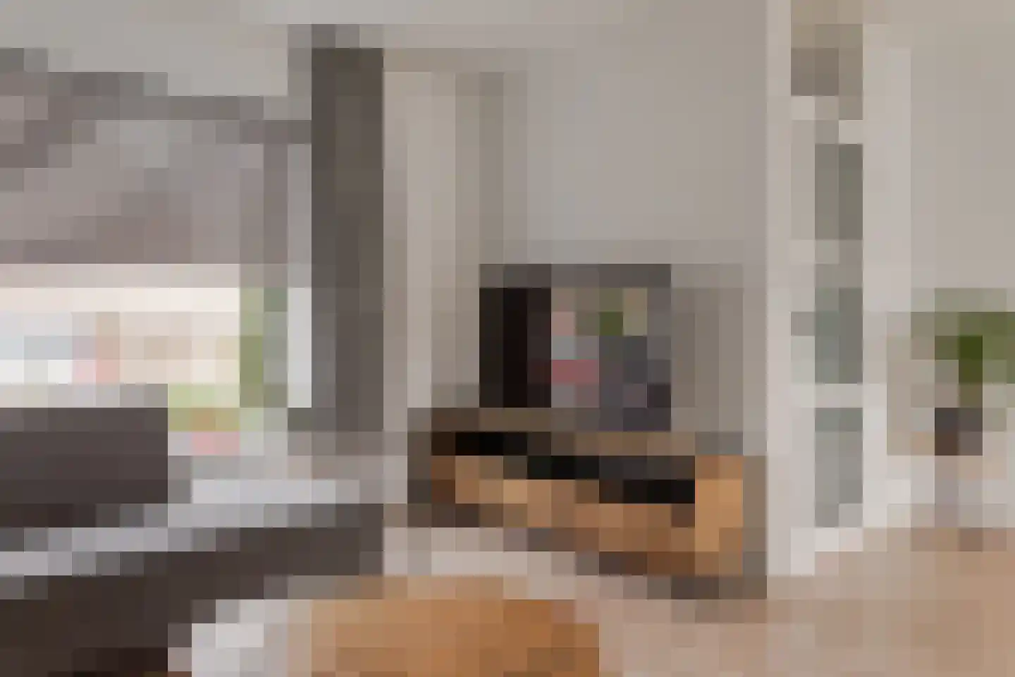 Rozenhof 4 Zwaag thumbnail 8