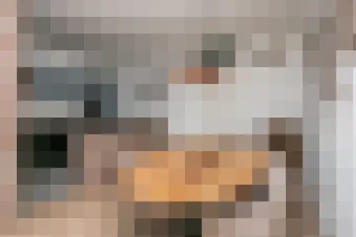 Rozenhof 43 Brunssum thumbnail 12