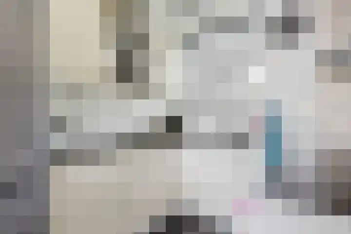 Rozenhof 45 Epe thumbnail 10
