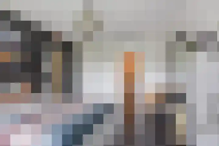 Rozenhof 45 Epe thumbnail 12