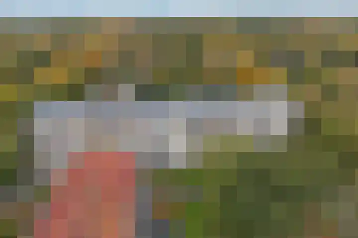 Rozenhof 45 Epe thumbnail 19