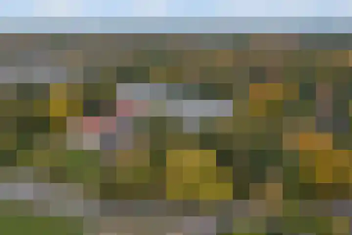 Rozenhof 45 Epe thumbnail 20