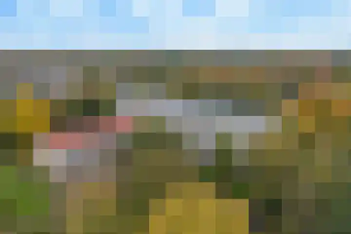 Rozenhof 45 Epe thumbnail 4