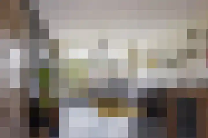 Rozenhof 45 Epe thumbnail 5