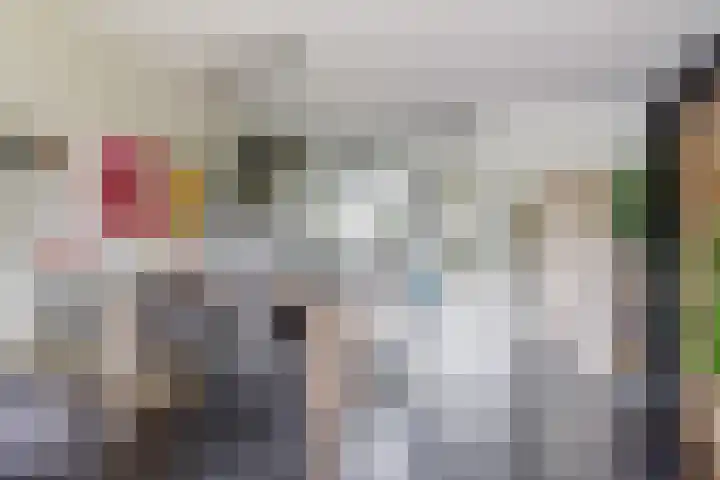 Rozenhof 45 Epe thumbnail 7