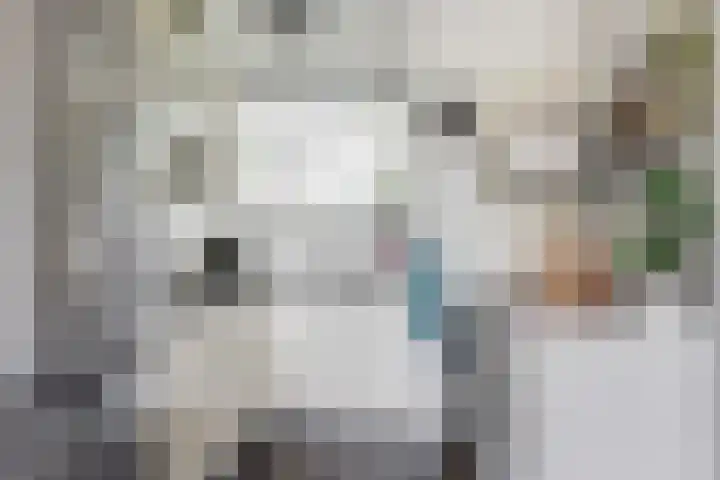 Rozenhof 45 Epe thumbnail 8