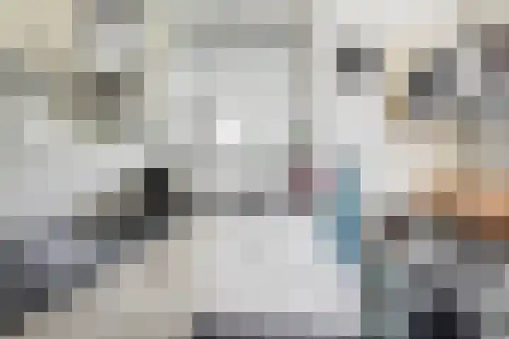 Rozenhof 45 Epe thumbnail 9