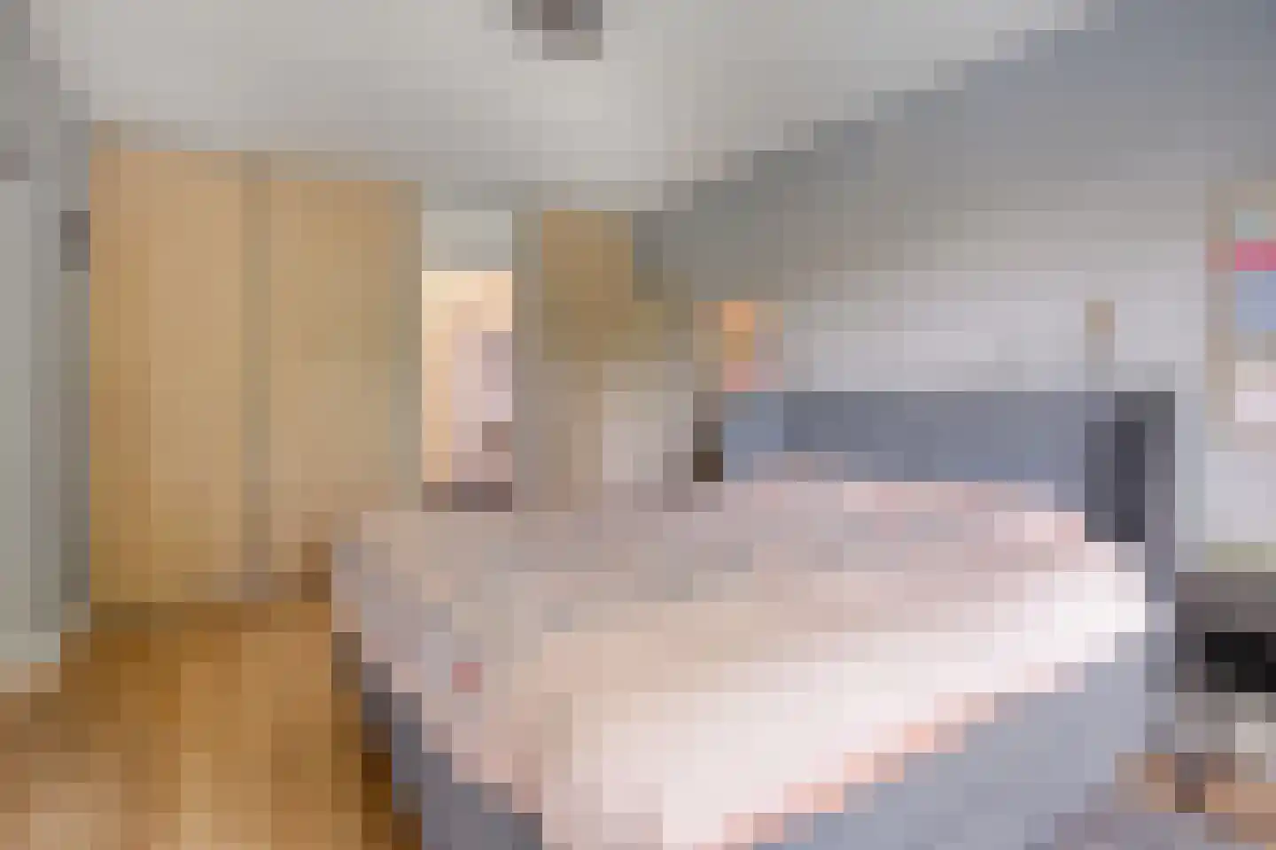 Rozenhof 47 Epe thumbnail 14