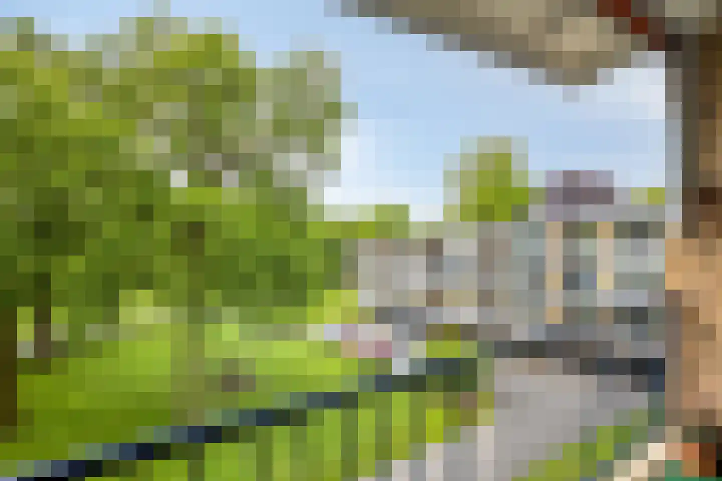 Rozenhof 47 Epe thumbnail 18