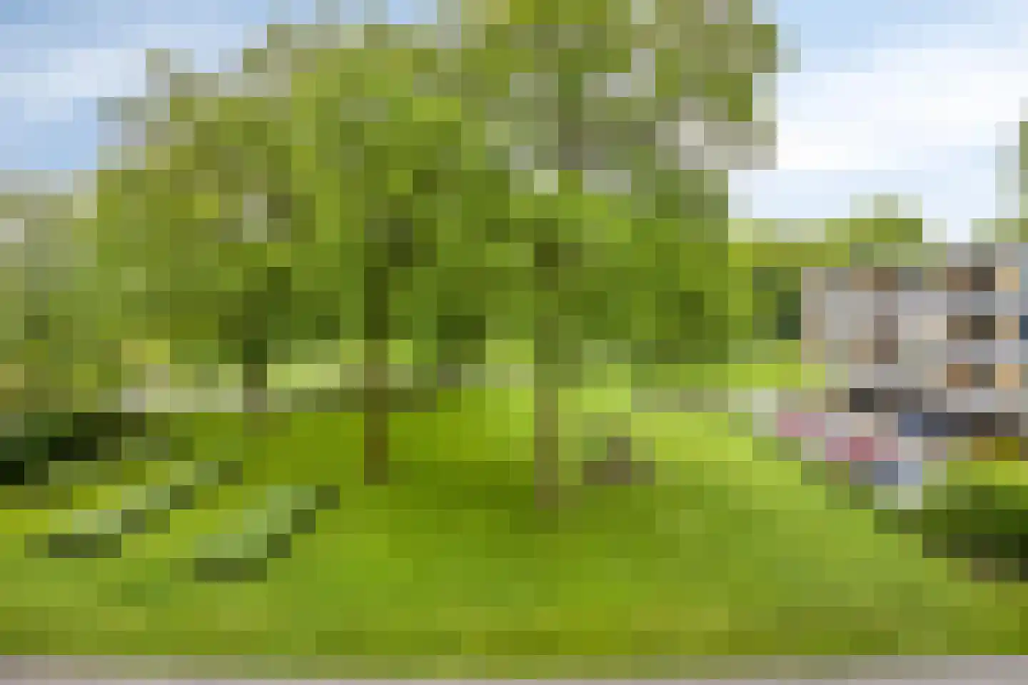 Rozenhof 47 Epe thumbnail 19