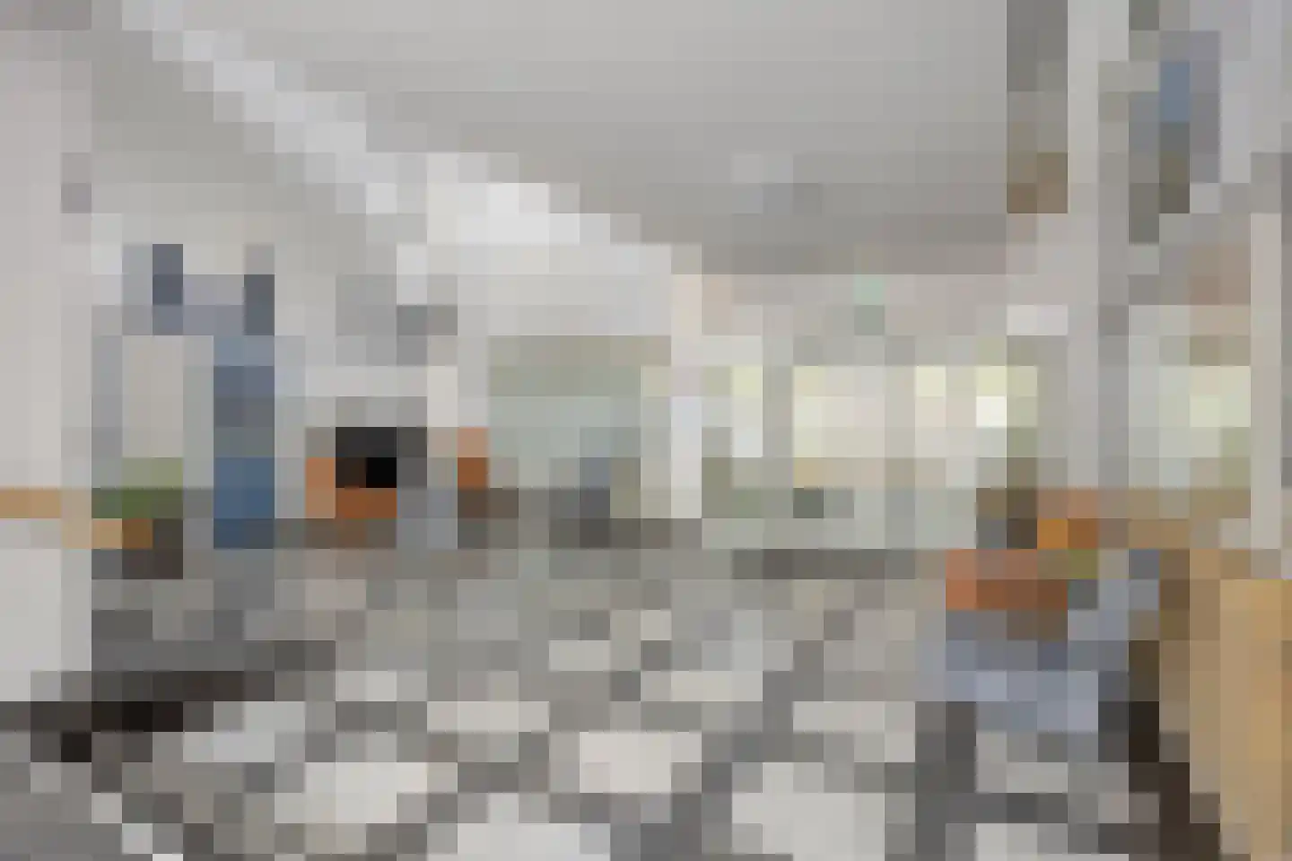 Rozenhof 47 Epe thumbnail 23